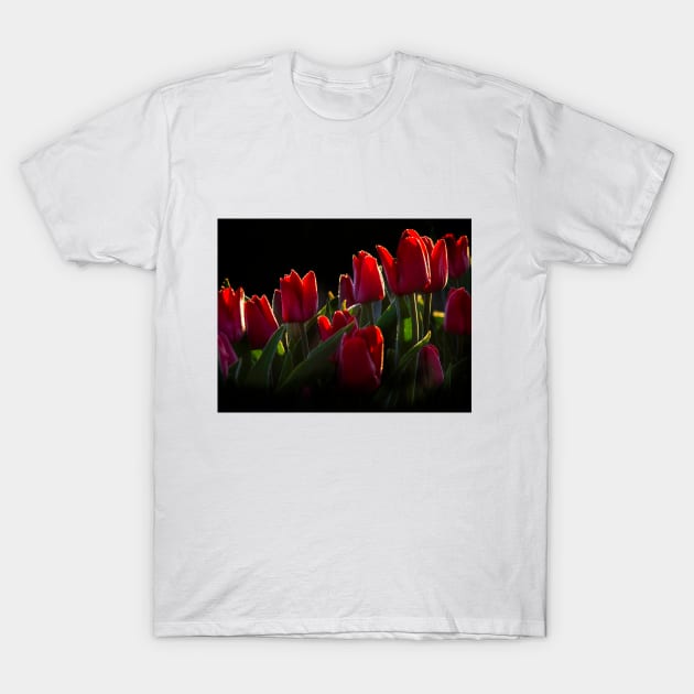 Red Tulips T-Shirt by algill